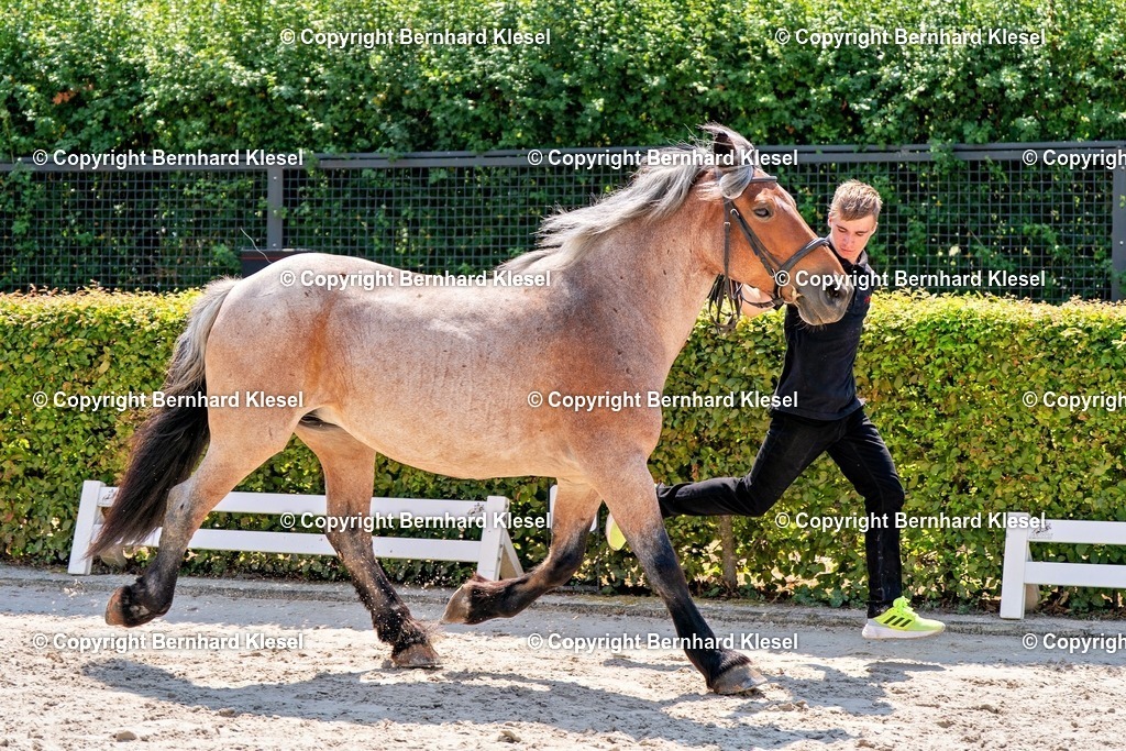 2A900640 | foto-team-bernhard - Realisiert mit Pictrs.com
