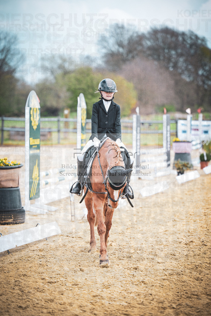 DOS_8367 | Entdecke hochwertige Reitturnierfotos von Foto Oger. Professionell, emotional und authentisch – jetzt Lieblingsmomente im Shop bestellen.Deutschlandweite Turnierfotografie. - Realisiert mit Pictrs.com