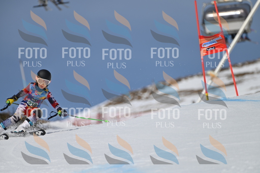 BGV_6277 | holidayphoto