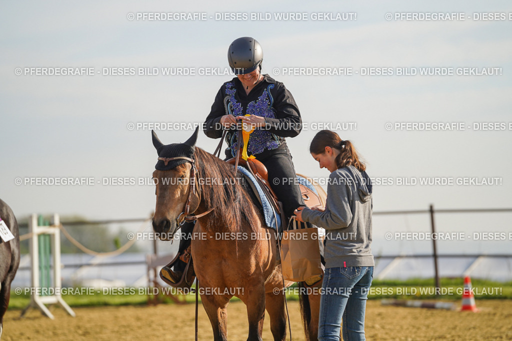 DSC00691 | Pferdegrafie