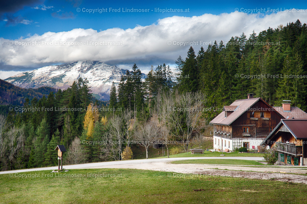 Otscher  (5) | Fotos und Fotoprodukte - Realisiert mit Pictrs.com