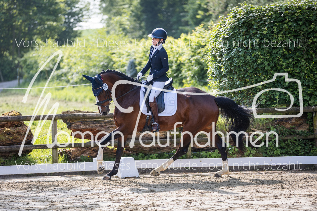 Donop24-A2-Dre-018 | MomenTaufnahmen Pferdesportfotos