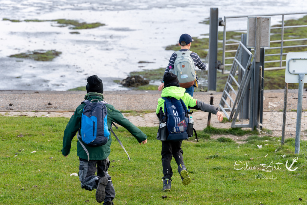 EAF_1163 | Eilun-Art-Fotografie Levke Martens, ihre Fotografin für Immobilien- und Landschaftsfotografie auf Föhr, Föhrer Motive als Poster, Leinwand, hinter Acrylglas oder stelle dir deinen eigenen Monatskalender zusammen, mit nur einem Klick