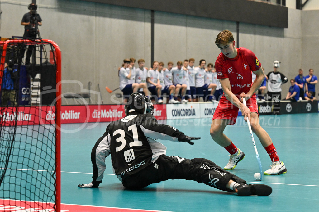 Switzerland B U19 vs Finland U19 - 2. February 2024 | Switzerland B U19 vs Finland U19
U19 Men International Matches in Switzerland
GoEasy Arena, Siggenthal Station
Switzerland forward #26 Vinz Burren.
Credit: Markus Aeschimann | <a href="https://www.markus-aeschimann.ch">Sportfotografie Markus Aeschimann</a> | <a href="https://www.instagram.com/sportfotografie.aeschimann">@sportfotografie.aeschimann</a> - Realisiert mit Pictrs.com