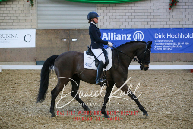 IMG_2666 | Turnierfotos kaufen im Webshop von Daniel Kuhl Photography – entdecke professionelle Reitsportfotos aus Turnieren & Events. Hochwertige Turnierbilder online bestellen & sichern. Jetzt Fotos von Reitsportturnieren kaufen!