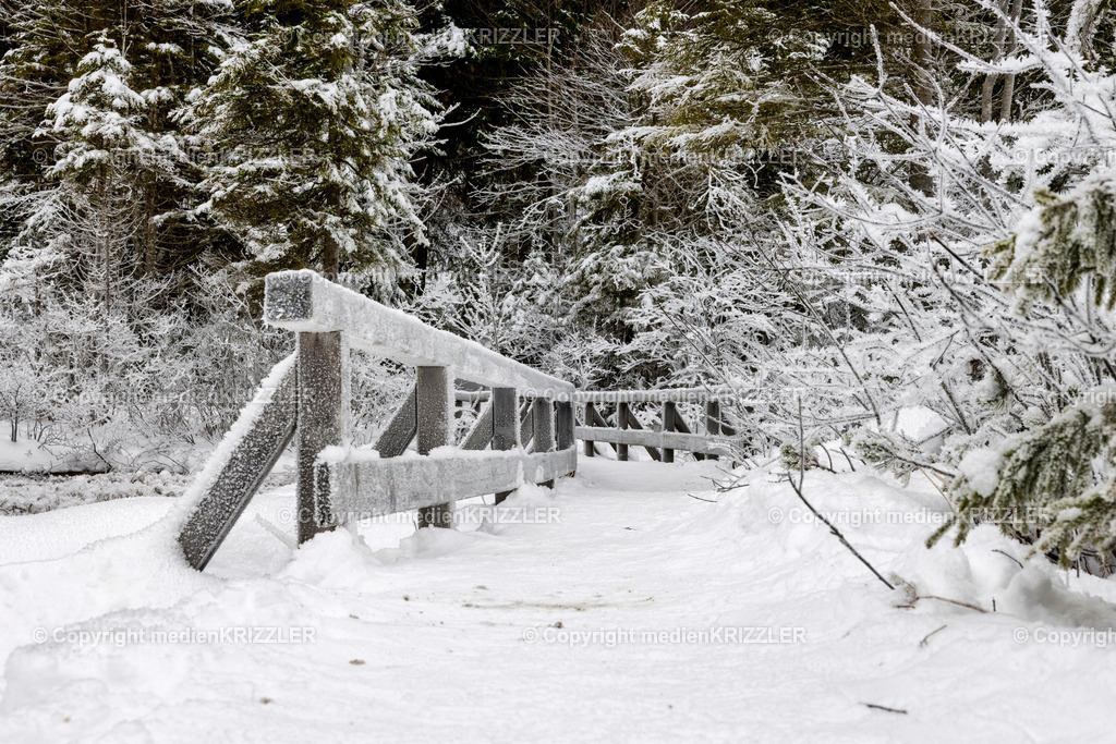 _J3A6720 | medienkrizzler - Realisiert mit Pictrs.com