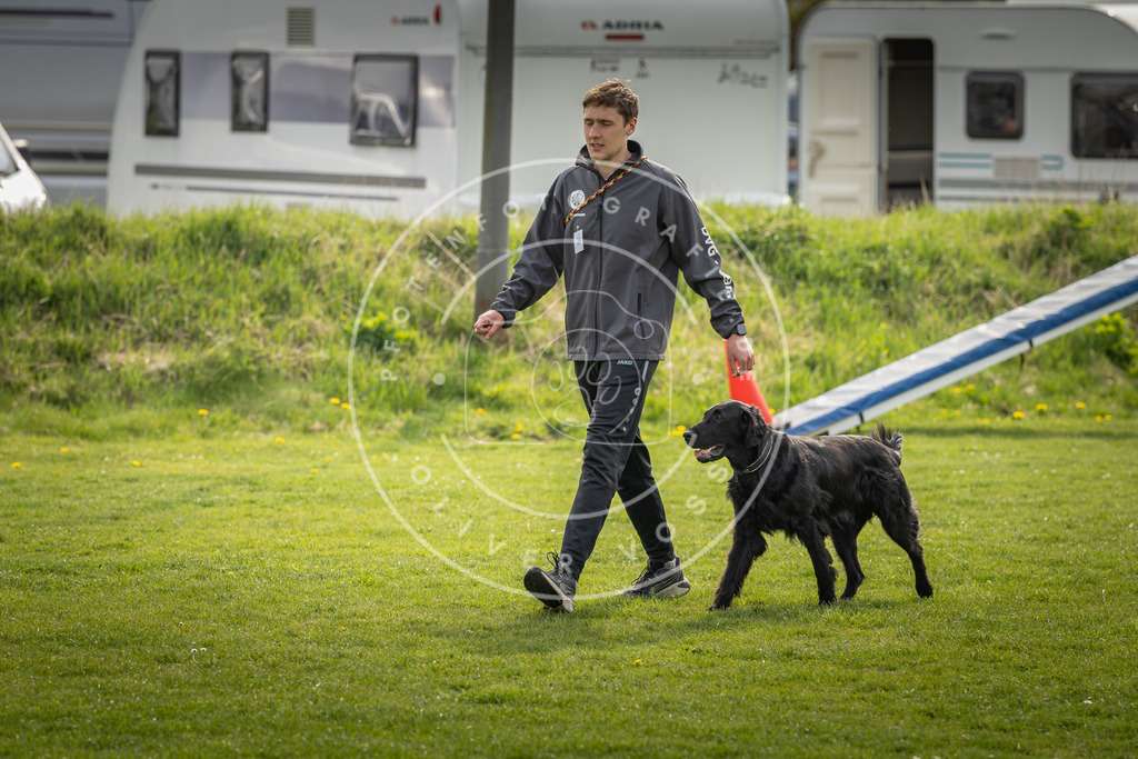 Pfotenfotografie_DV3A5013 | Hundefotografie, Tierfotograf, Pfotenfotografie, Fotoshooting Hund, Hunde Portrait, Hundesport, Hundeportraits, Heideshooting, Hunde, Sportfotograf, Hundefotograf, Turnierhundsport, THS,  - Realisiert mit Pictrs.com