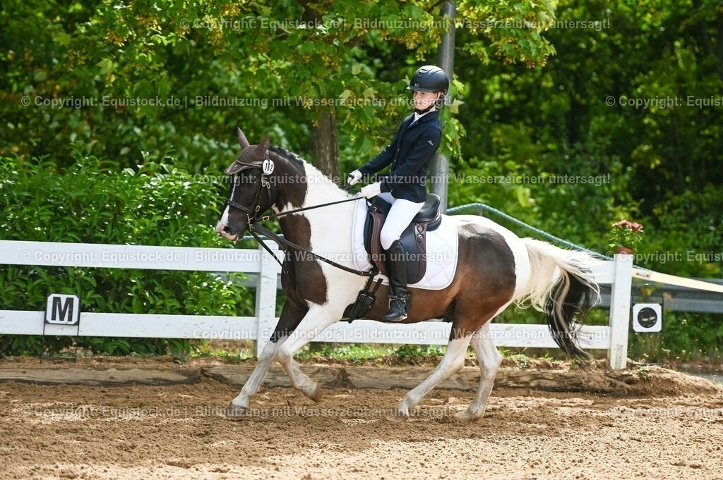 20230716_10-2_Reiter-WB Schritt - Trab - Galopp_0177 | equistock