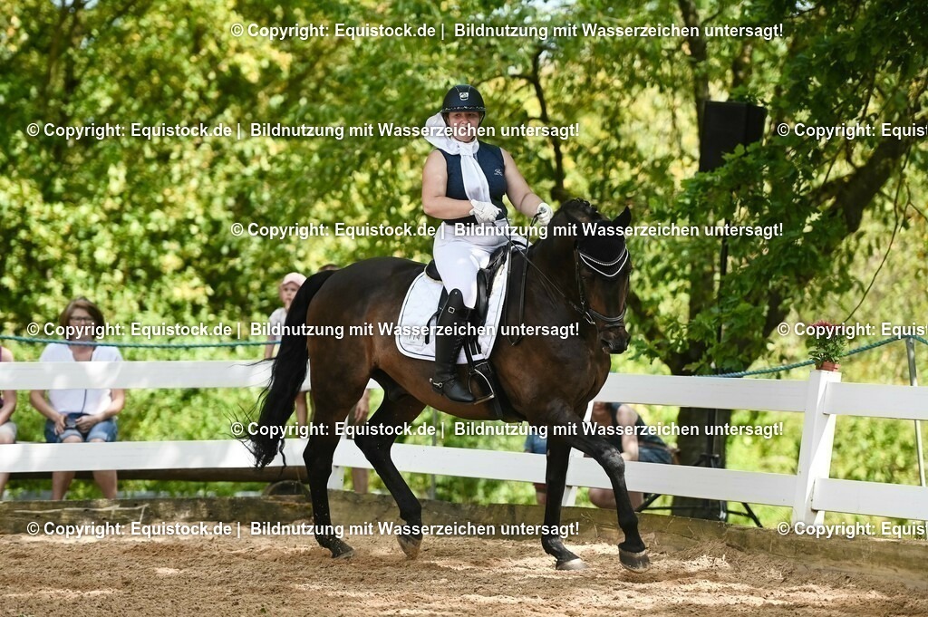 20230715_02_Dressurreiterprüfung Kl.L_0368 | equistock