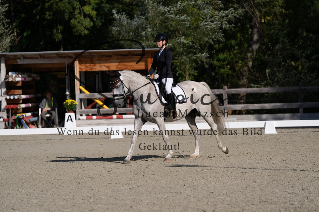 A7V06882 | Pferdefotograf