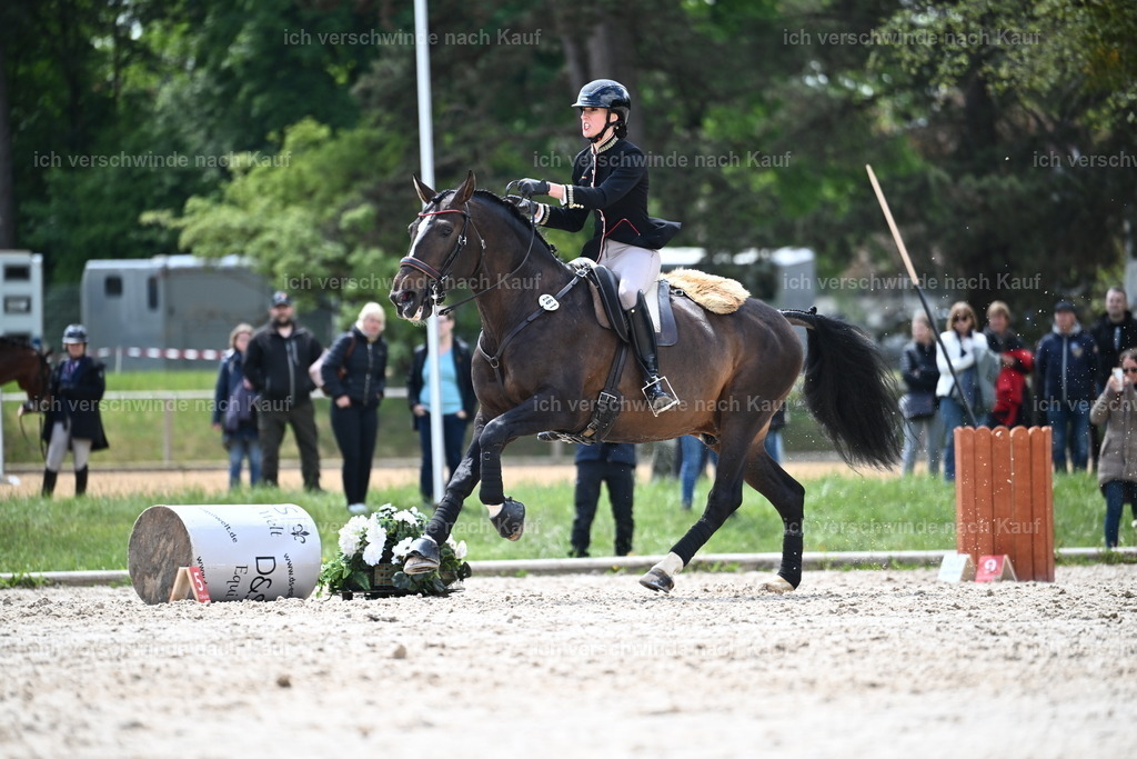 PI26_SP_Sara_Landvogt_226_5834.JPG | working equitationturnier fotograf videograf stoibphotography marixx film working equitation deutschland reitsport turnierfotografie eventfotografie equestrian events