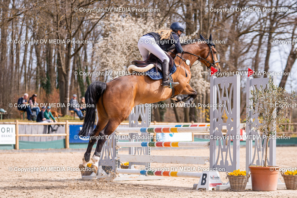 Kranichstein Tag 1-653 | dv-media-shop - Realisiert mit Pictrs.com