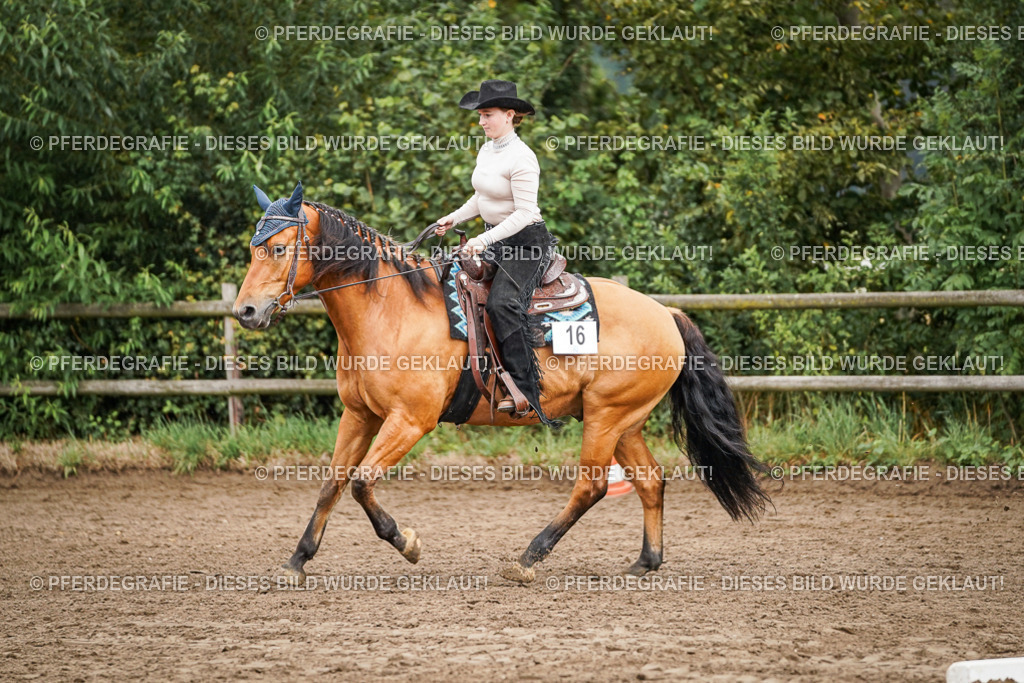 DSC04484 | Pferdegrafie