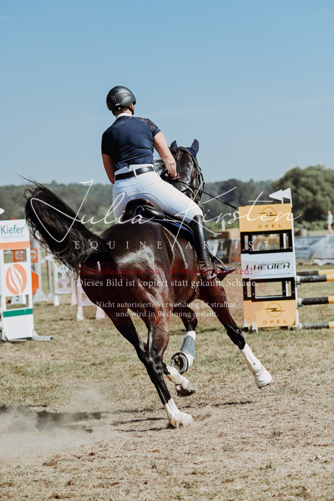 DSC_9873 | Pferde- und Turnierfotografie in Westsachsen. Pferdeportraits, Auftragszeichnungen und intuitive Kunst.