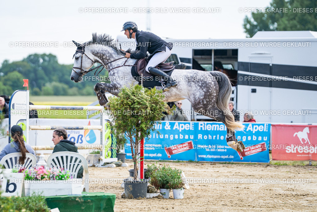 DSC06711 | Pferdegrafie