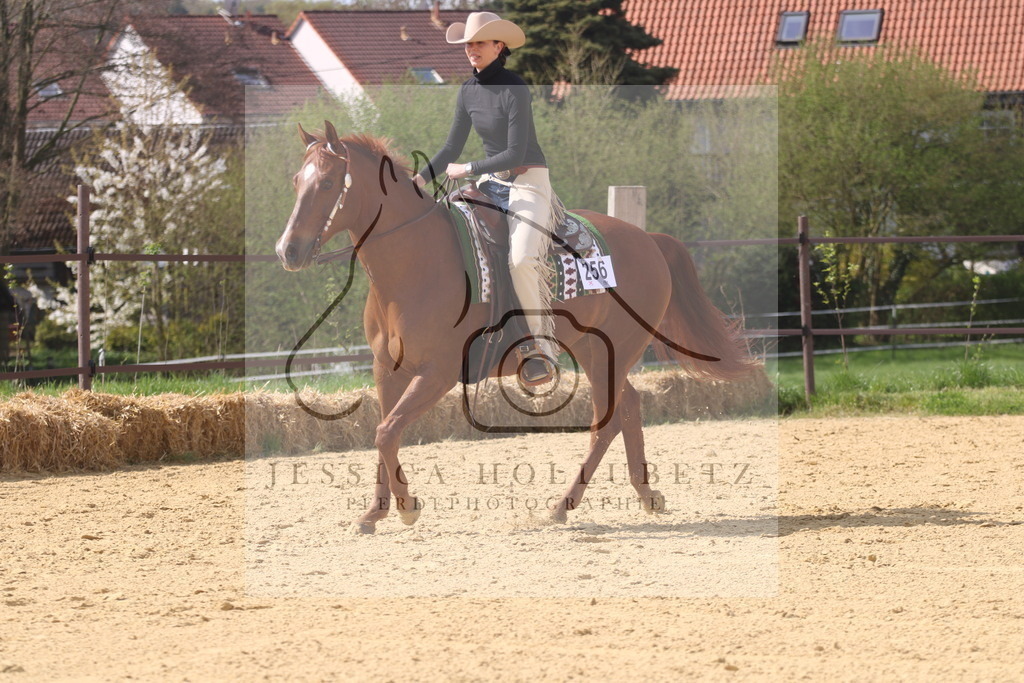 IMG_0715 | jessicahollubetz_pferdephotographie - Realisiert mit Pictrs.com