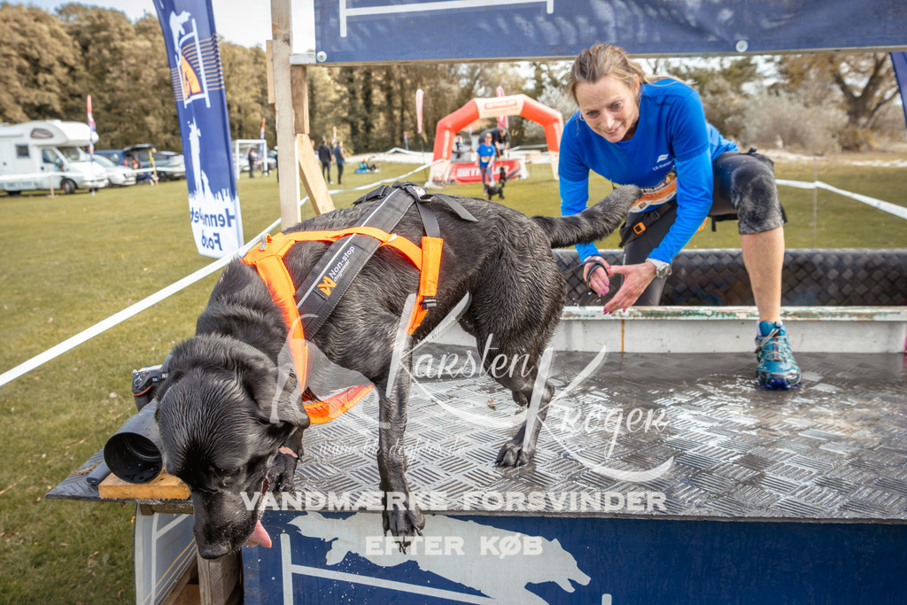 1358_ZZ93041-2 | kk-dogfotos
