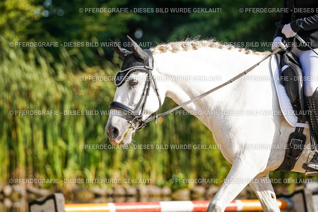 DSC08796 | Pferdegrafie