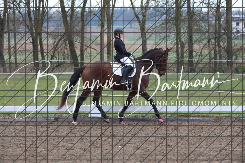 AZ2A3754 | Benjamin Bartmann Photomoments