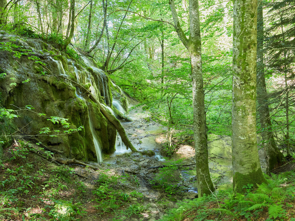 Waldromantik mit Wasserfall, Kroatien | Das Bild zeigt einen Wasserfall in einem Waldstück des Nationalparks Plitvicer Seen in Kroatien im Sommer.Unsere Empfehlung: Alu-Dibond oder Acrylglas - Realisiert mit Pictrs.com