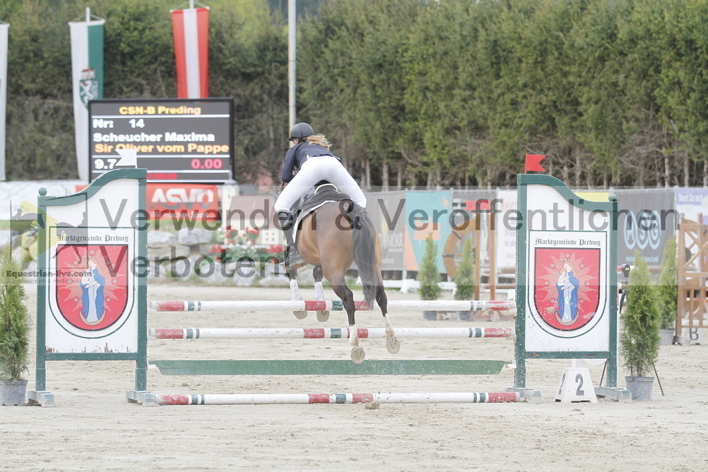 _MG_5229 | equestrian-live-com