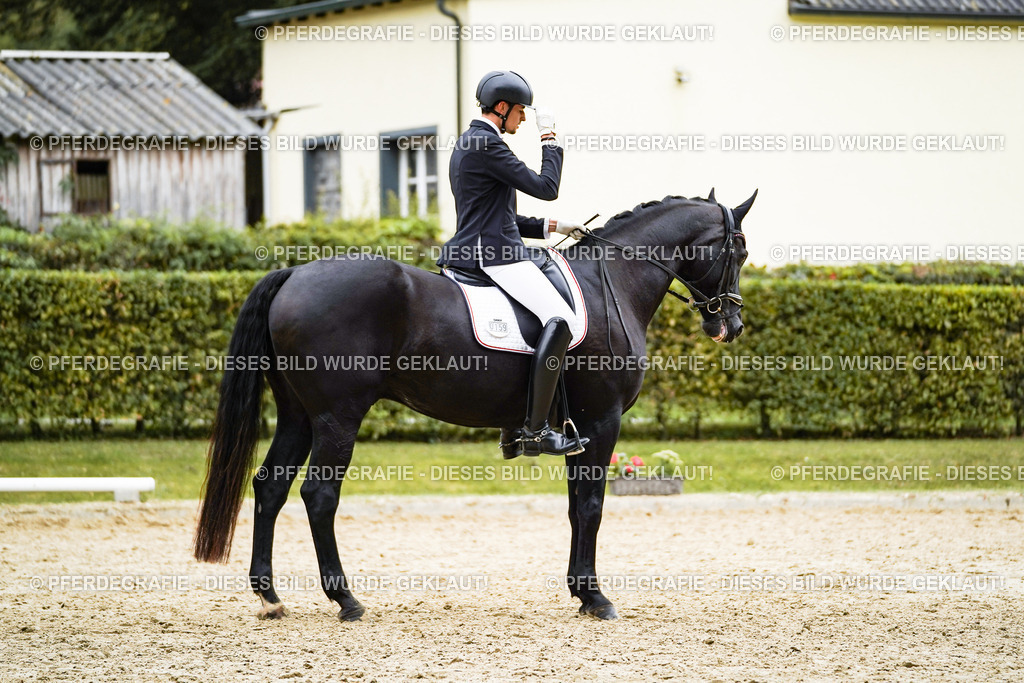 DSC09334 | Pferdegrafie