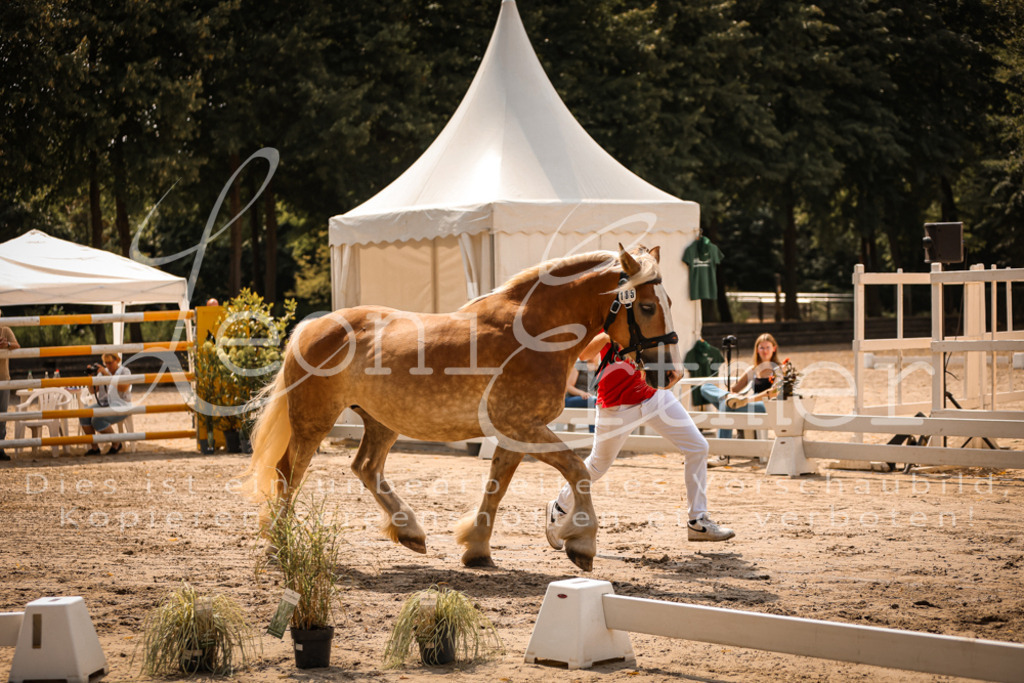 2.Sa00063 | Leoni Ertmer Photography - Realisiert mit Pictrs.com