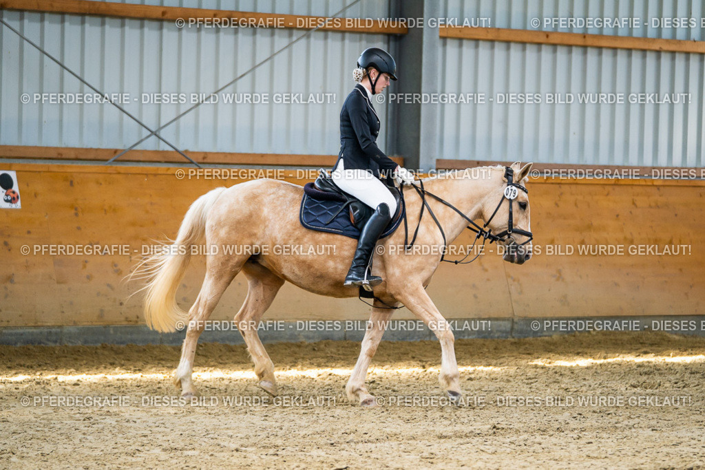 DSC01856 | Pferdegrafie