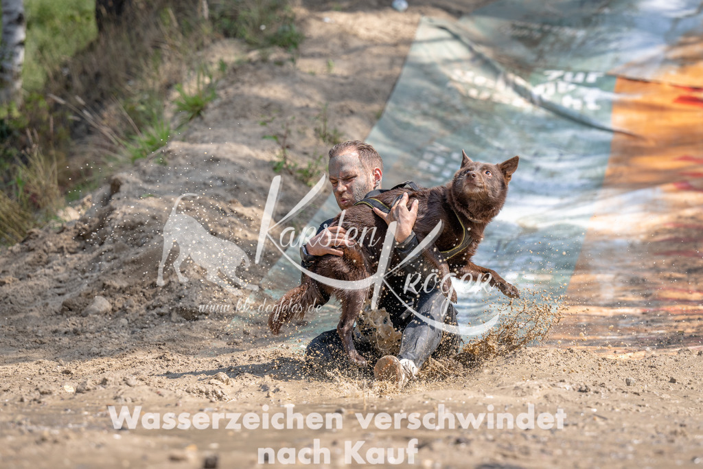 1133_ZZ90329 | kk-dogfotos