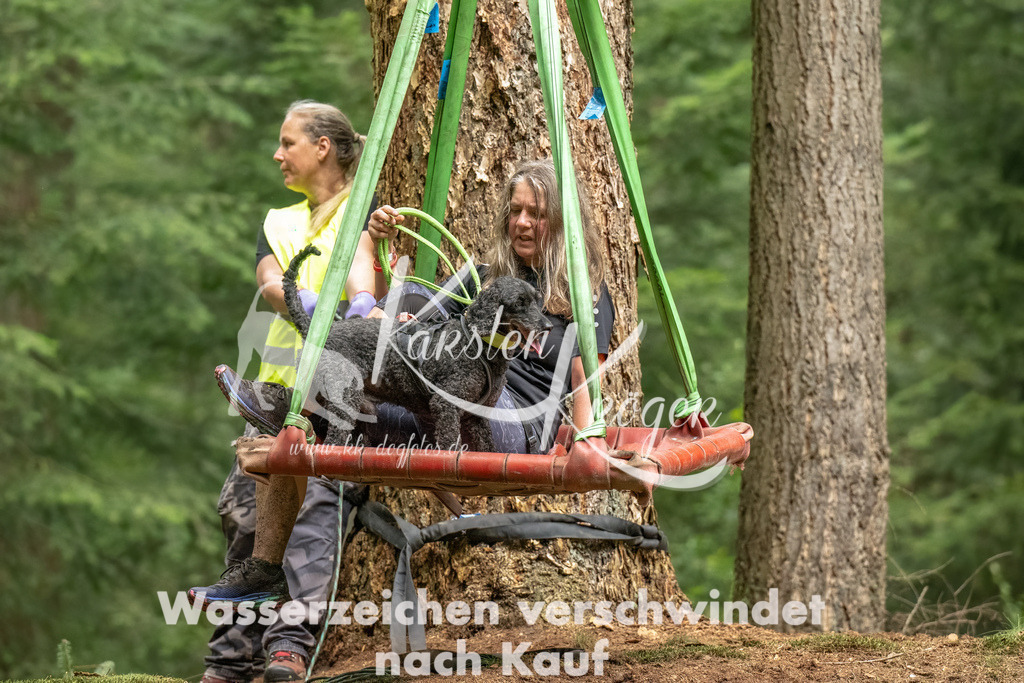 1300_ZZ91962-Bearbeitet | kk-dogfotos