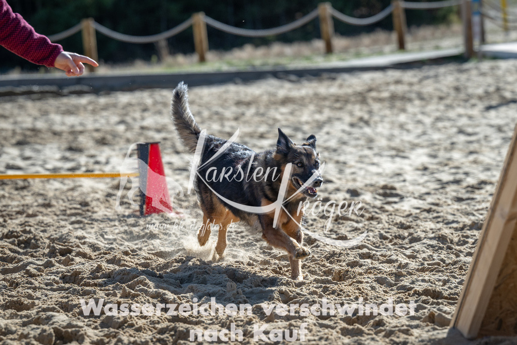 1154_ZZ92371-2 | kk-dogfotos