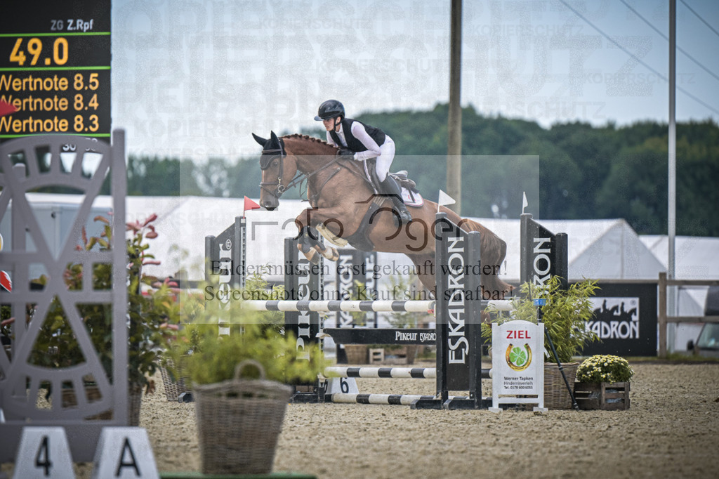 DOS_6923 | Entdecke hochwertige Reitturnierfotos von Foto Oger. Professionell, emotional und authentisch – jetzt Lieblingsmomente im Shop bestellen.Deutschlandweite Turnierfotografie. - Realisiert mit Pictrs.com