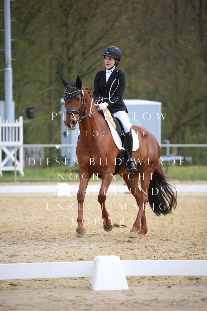 IMGT6718 | pl-fotografie