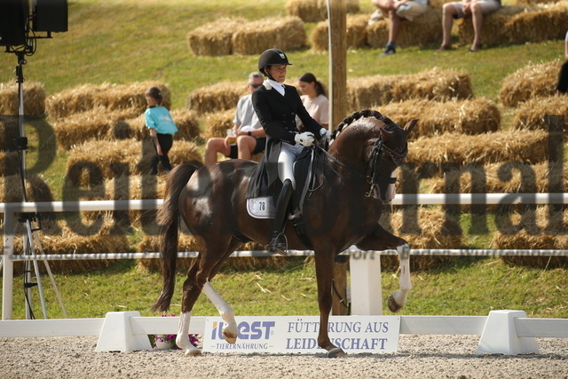Birkhof_2022_GrandPrixSpecial_Jasmin Schaudt_Fano 3 (7) | Alle Fotos der Reiterjournal Fotografin Doris Matthaes im Reiterjournal Online-Fotoshop. - Realisiert mit Pictrs.com