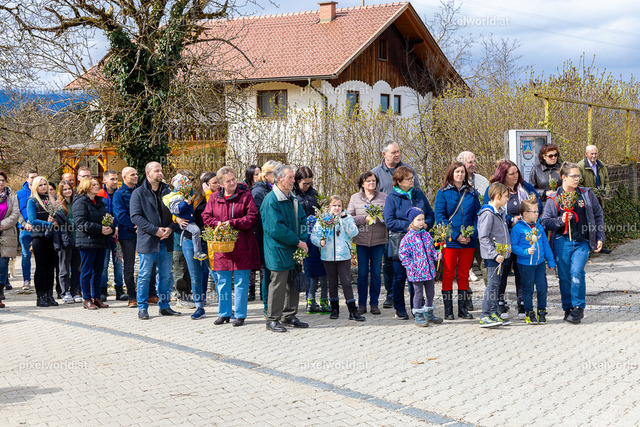 Palmweihe in Glanhofen | Bildershop von pixelworld.at - Realisiert mit Pictrs.com