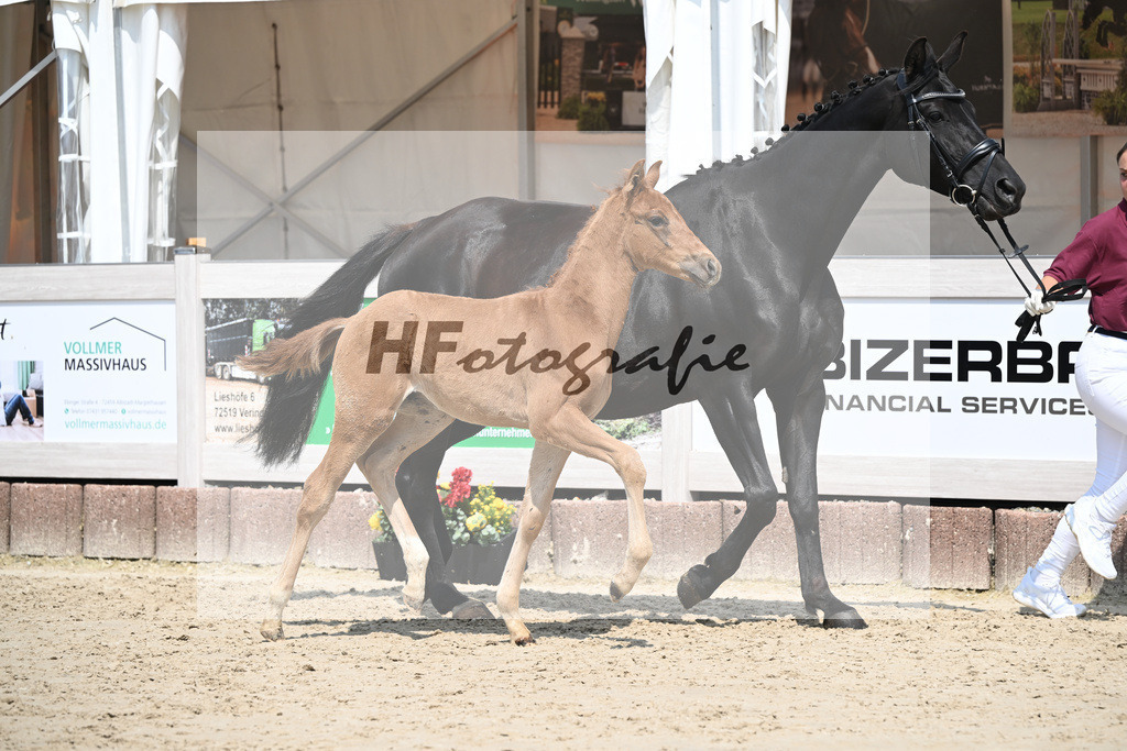 Viva Vegas x Top Gear_HF_Leder_12250462 | hf-fotografie - Realisiert mit Pictrs.com