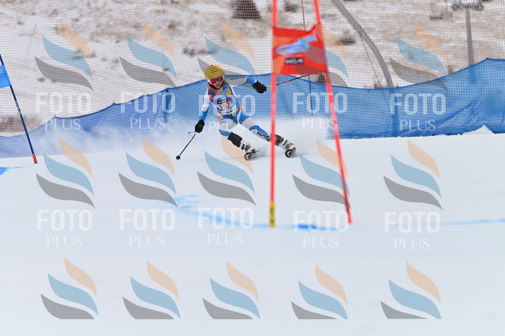 BGV_1274 | holidayphoto