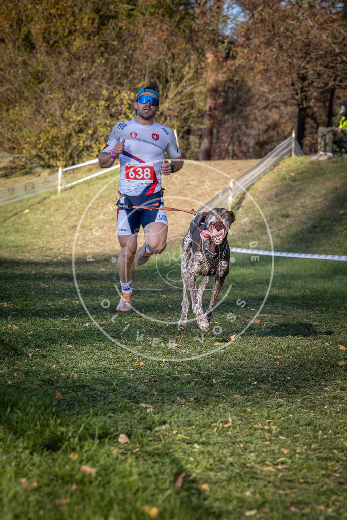 CaniXpix_0L8A8972 | Hundefotografie, Tierfotograf, Pfotenfotografie, Fotoshooting Hund, Hunde Portrait, Hundesport, Hundeportraits, Heideshooting, Hunde, Sportfotograf, Hundefotograf, Turnierhundsport, THS,  - Realisiert mit Pictrs.com