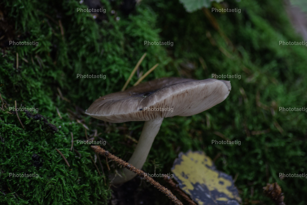 IMG_4230 | phototaetig