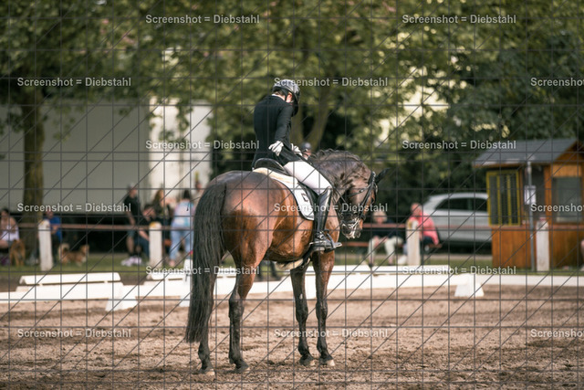 _W6A4904 | ronjaprokoschfotografie - Realisiert mit Pictrs.com