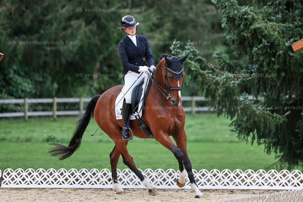11-048-Dressur S___-StoibPH-1411 | working equitationturnier fotograf videograf stoibphotography marixx film working equitation deutschland reitsport turnierfotografie eventfotografie equestrian events