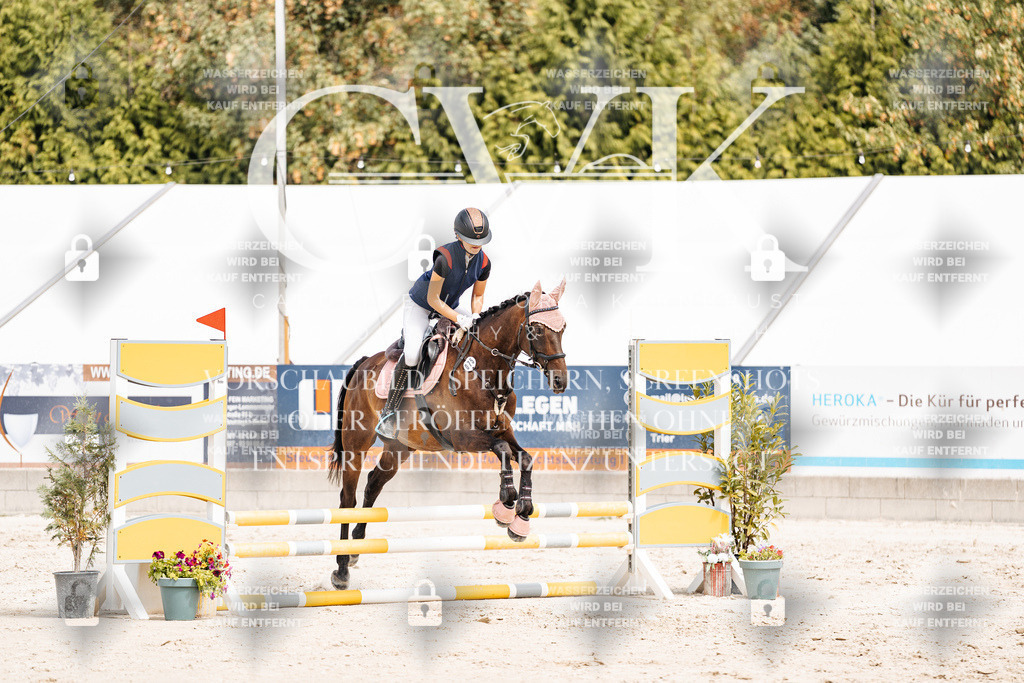 CK906689 | Turnierfotografie Pferdefotografie Trier Rheinland-Pfalz Pferdesport Reitsport Tierfotografie Sportfotografie Pferdevideo Pferdevideografie Equestrianvideography equestrianphotography  - Realisiert mit Pictrs.com