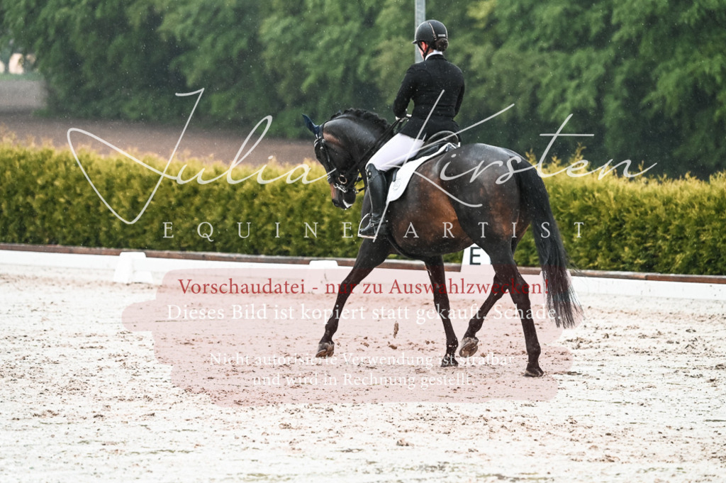 DSC_4694 | Pferde- und Turnierfotografie in Westsachsen. Pferdeportraits, Auftragszeichnungen und intuitive Kunst.