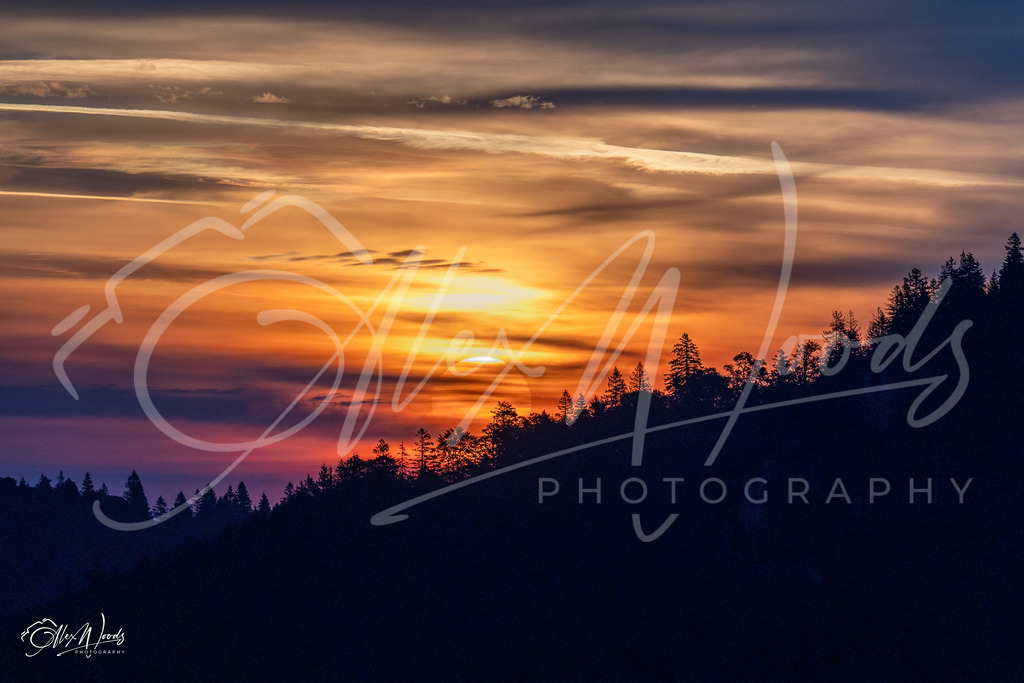 20240922_072523_SA933621_AlexWoods_FullSize | Alex Woods Photography