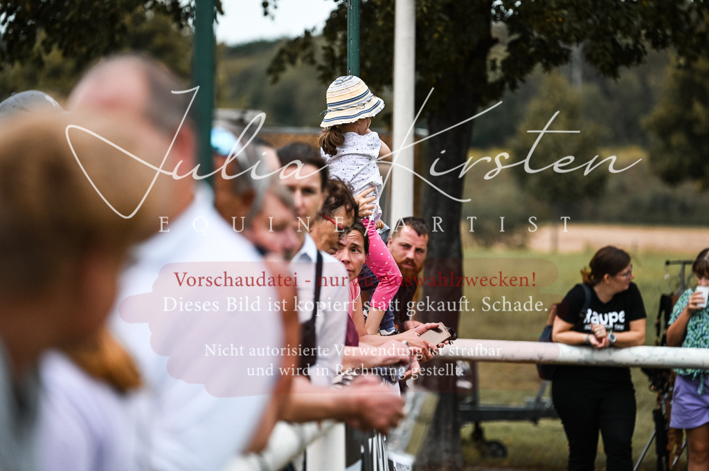 DSC_9318 | Pferde- und Turnierfotografie in Westsachsen. Pferdeportraits, Auftragszeichnungen und intuitive Kunst.