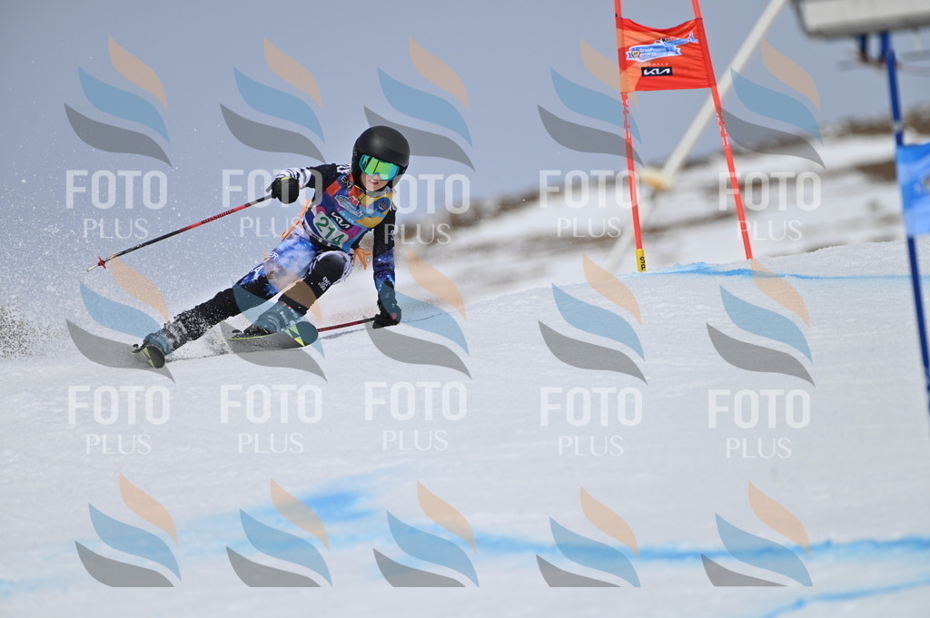 BGV_4147 | holidayphoto