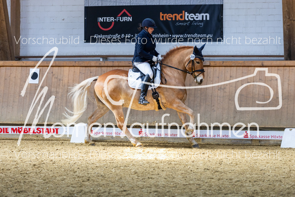 Sth-LPO25-DrR-L-138 | MomenTaufnahmen Pferdesportfotos