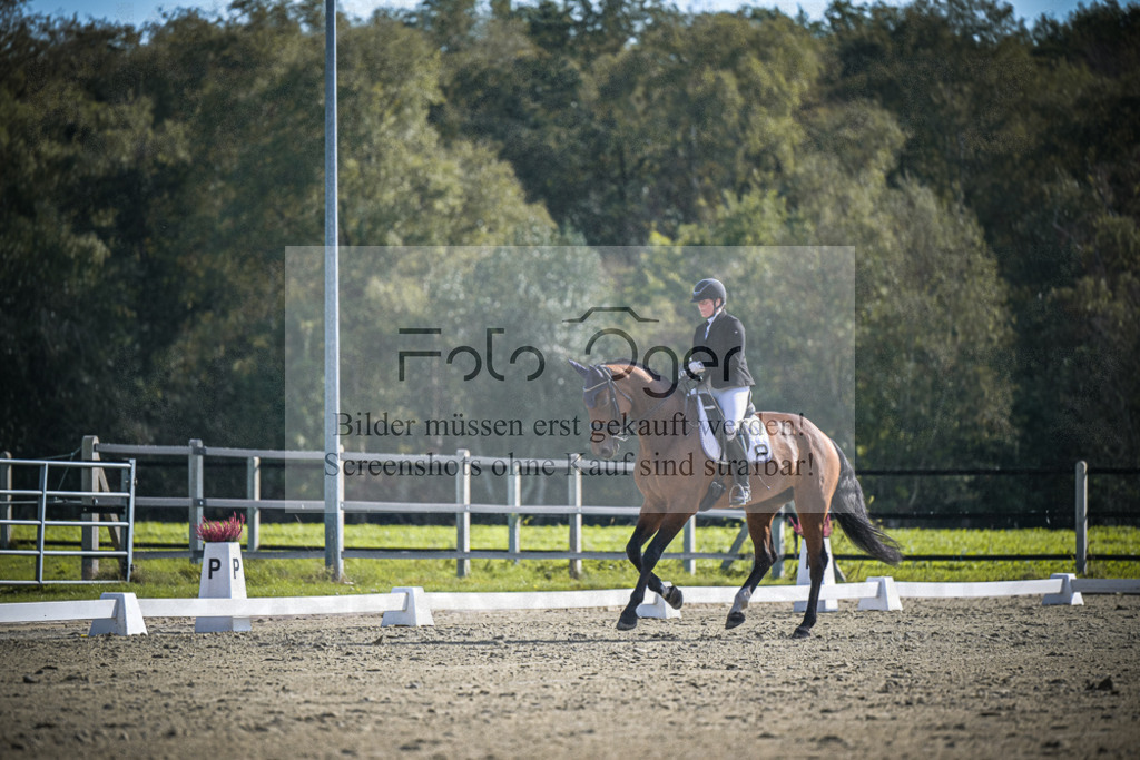 DOS_1466 | Entdecke hochwertige Reitturnierfotos von Foto Oger. Professionell, emotional und authentisch – jetzt Lieblingsmomente im Shop bestellen.Deutschlandweite Turnierfotografie. - Realisiert mit Pictrs.com