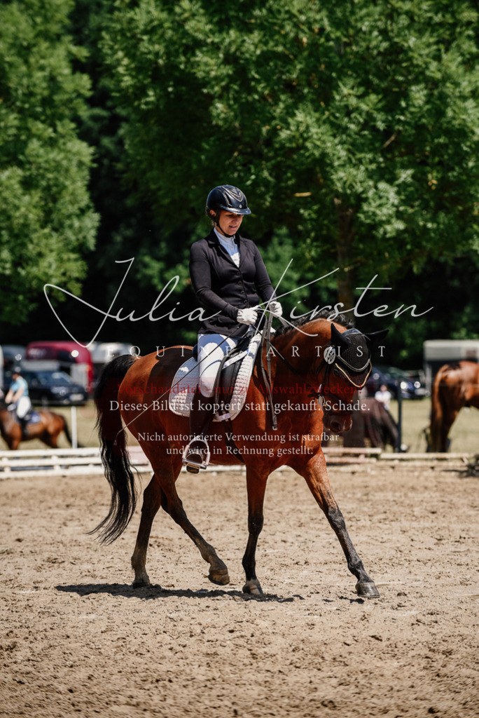DSC_1885 | Pferde- und Turnierfotografie in Westsachsen. Pferdeportraits, Auftragszeichnungen und intuitive Kunst.