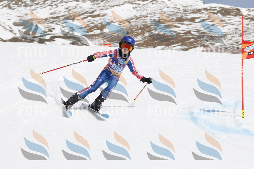 _U3G1854 | holidayphoto